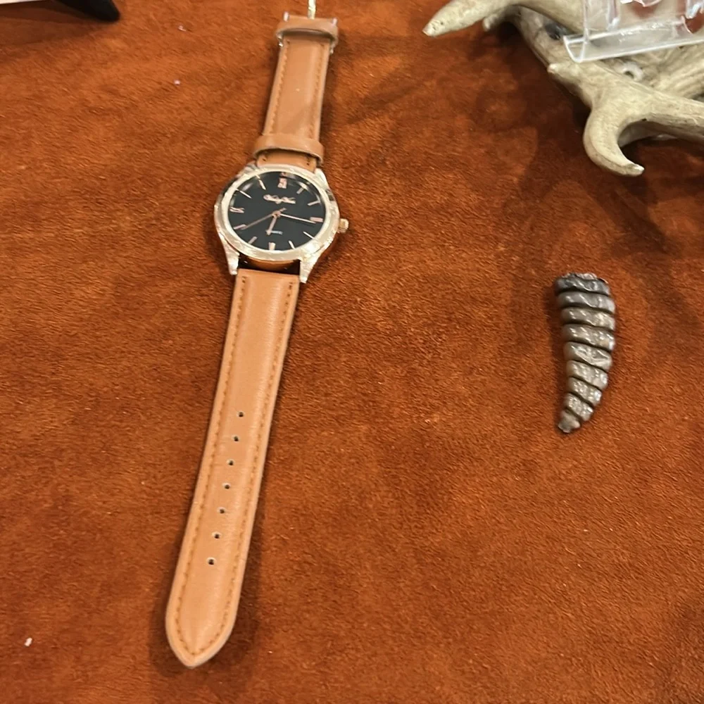 Vanity Fair Brown Leather Strap‎ Watch with pretty Dial 8848